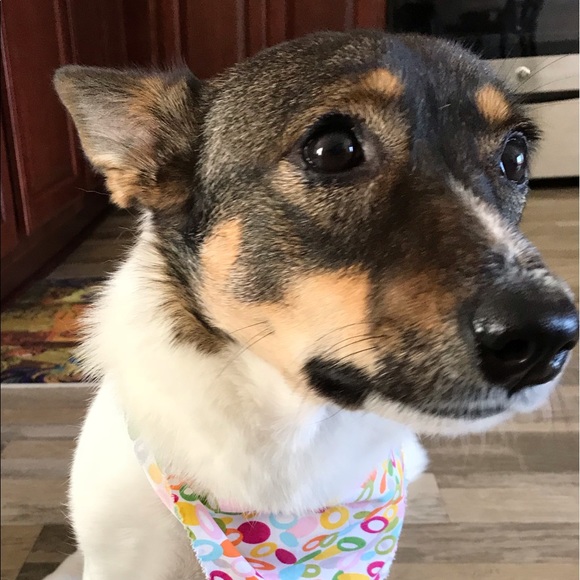 Meet your Posher, Ly - Picture 1 of 1